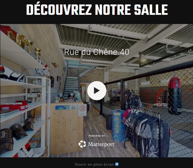 Intégration web d'une visite Vizion sur un site d'agence
